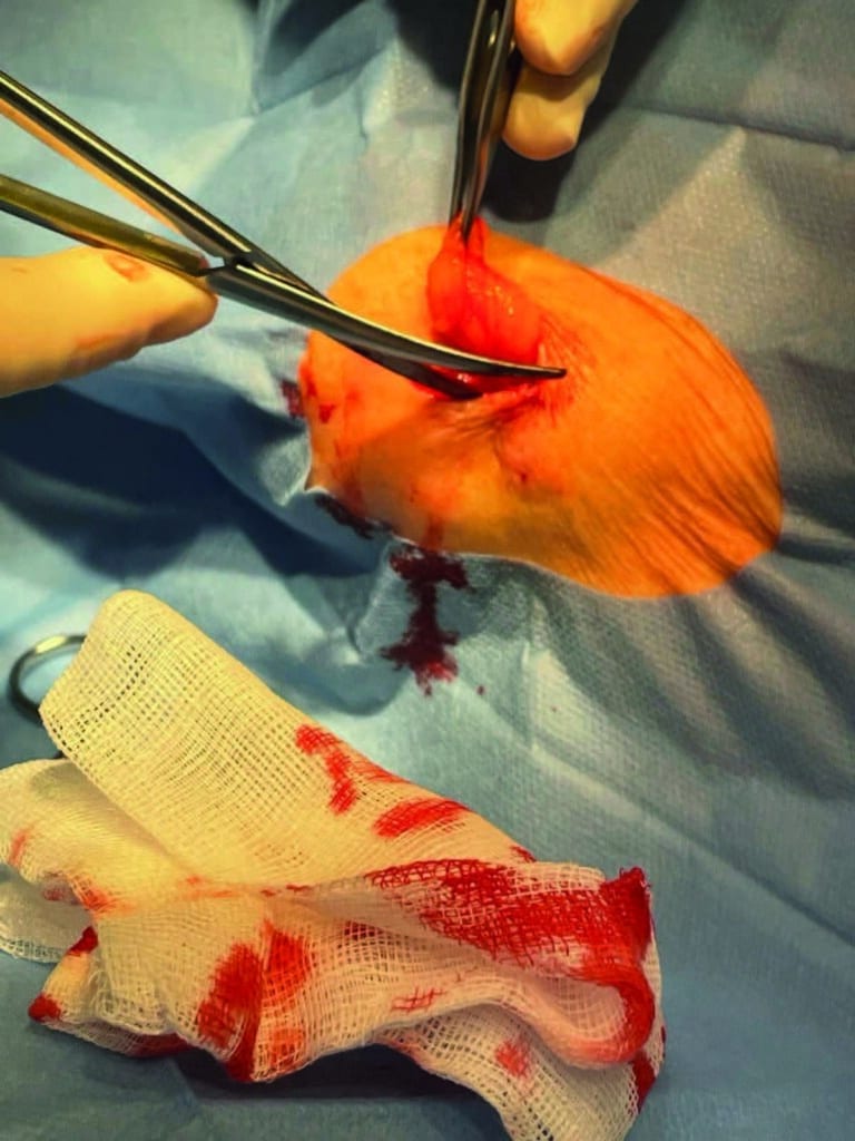 Kirurgen 3-2024_5 - Kirurgen