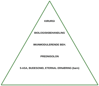 Figur 1. Behandlingspyramiden ved inflammatorisk tarmsykdom. (Tegnet av Stian Wendelborg og Trond Dehli) - Kirurgen Figur 1. Behandlingspyramiden ved inflammatorisk tarmsykdom. (Tegnet av Stian Wendelborg og Trond Dehli)