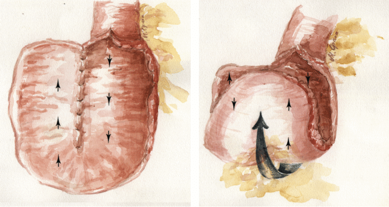 Figur 4: K-reservoar (copyright: Tom Øresland/Leif Hulten)