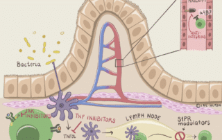 Figur 2: Virkningsmekanisme for biologiske og småmolekylære ledemidlerl (målrettet behandling).
